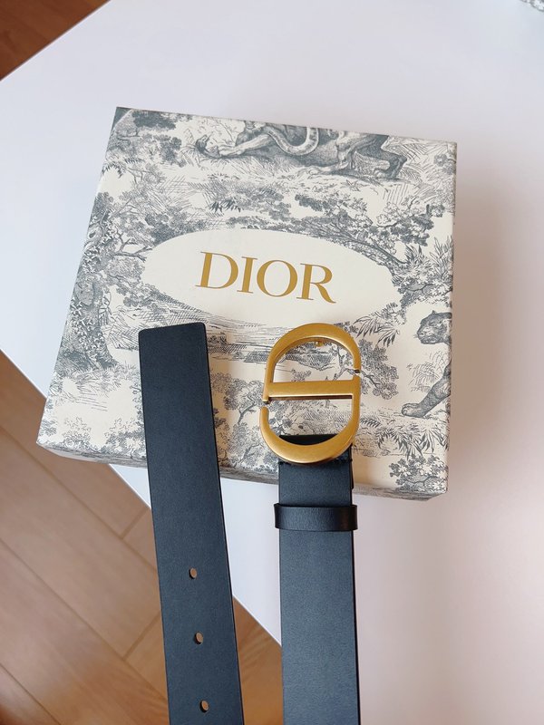 디올 DIOR 클래식 새들 벨트 골드 버클 001-176394