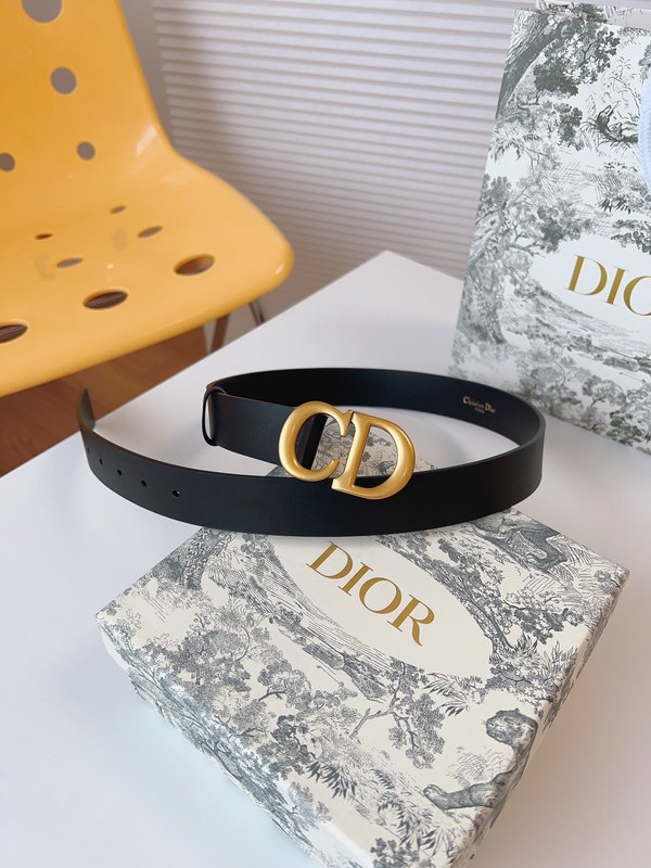 디올 Dior 매끄러운 송아지 가죽 새들 벨트 001-176395