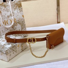 디올 바비 벨트 탈착형 pouch 골드 버클 001-176469