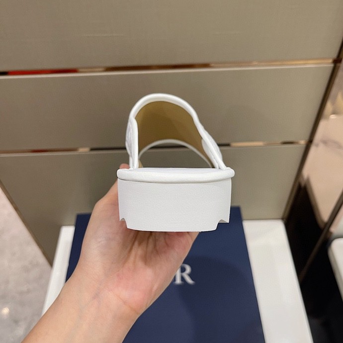 Dior 2022ss Oblique 남성 슬리퍼 001-180415