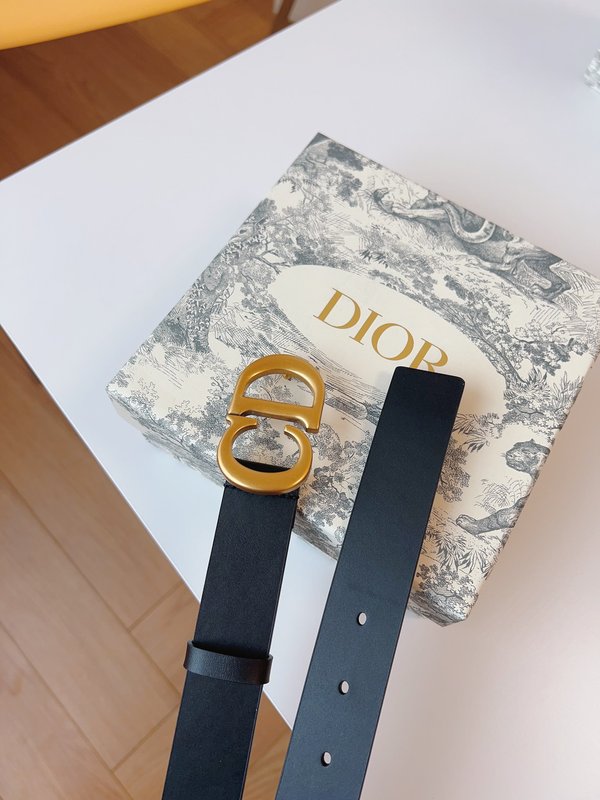 디올 Dior 매끄러운 송아지 가죽 새들 벨트 001-192448