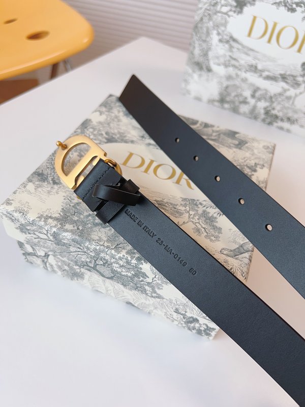 디올 Dior 매끄러운 송아지 가죽 새들 벨트 001-192448