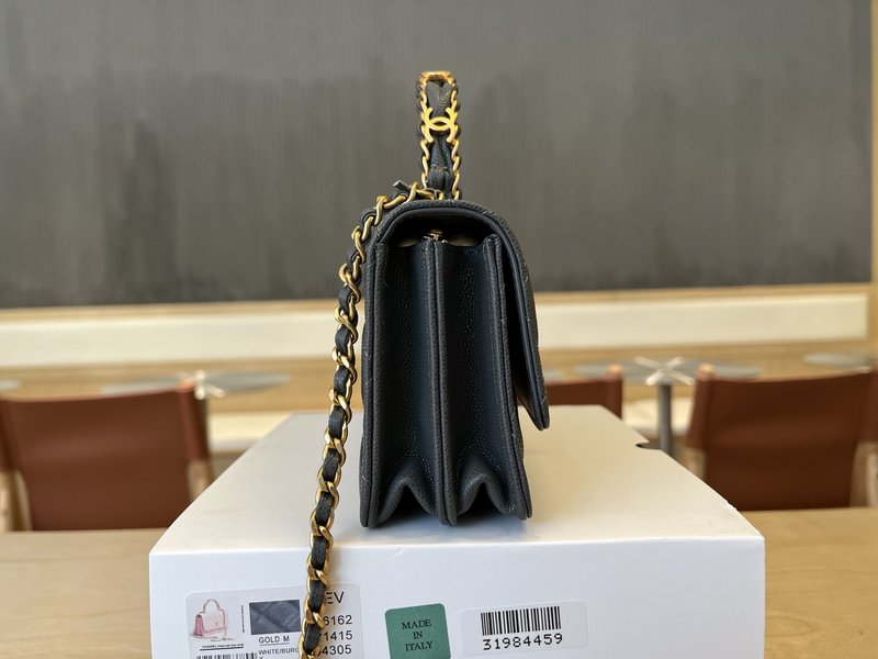 샤넬 더블 C 핸들 아코디언백 001-223293