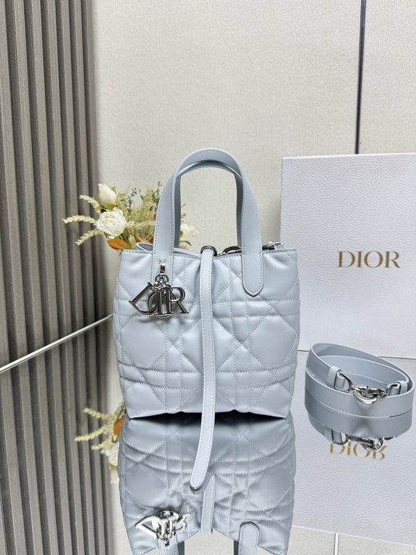 디올 빙하 블루 세로형 핸드백 001-235455