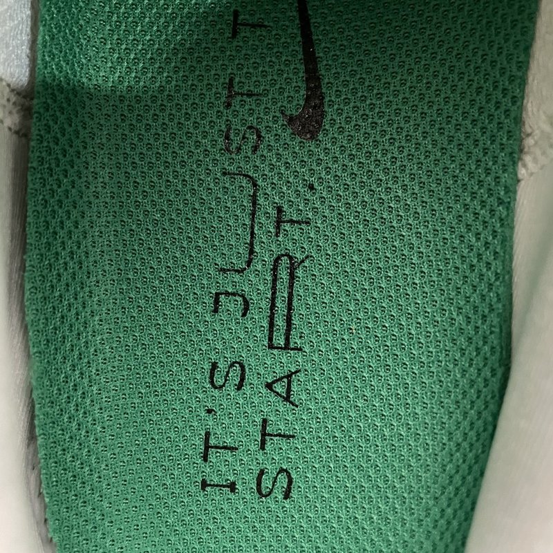 나이키 페가수스 41 메쉬 러닝화 001-259282