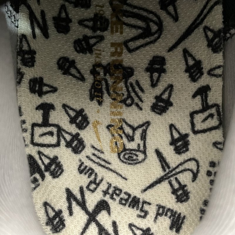 나이키 페가수스 41 메쉬 러닝화 001-259287