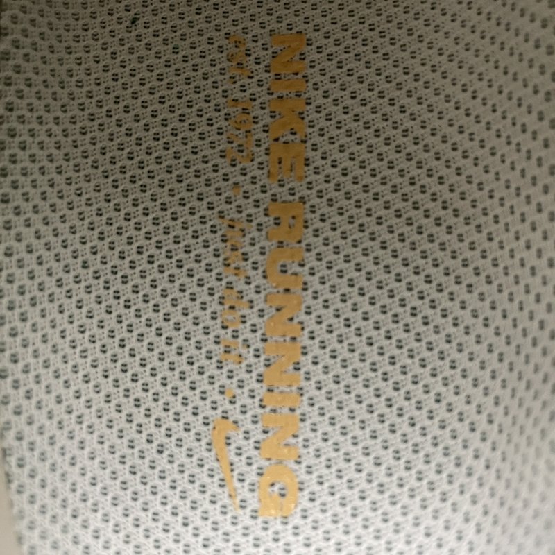 나이키 페가수스 41 메쉬 러닝화 001-259289