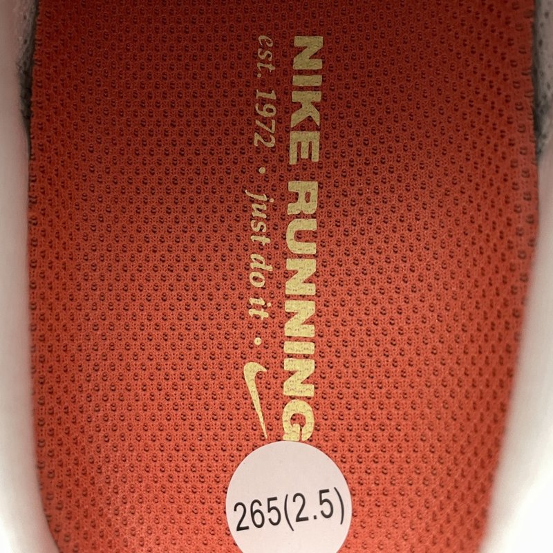 나이키 페가수스 41 메쉬 러닝화 001-259363