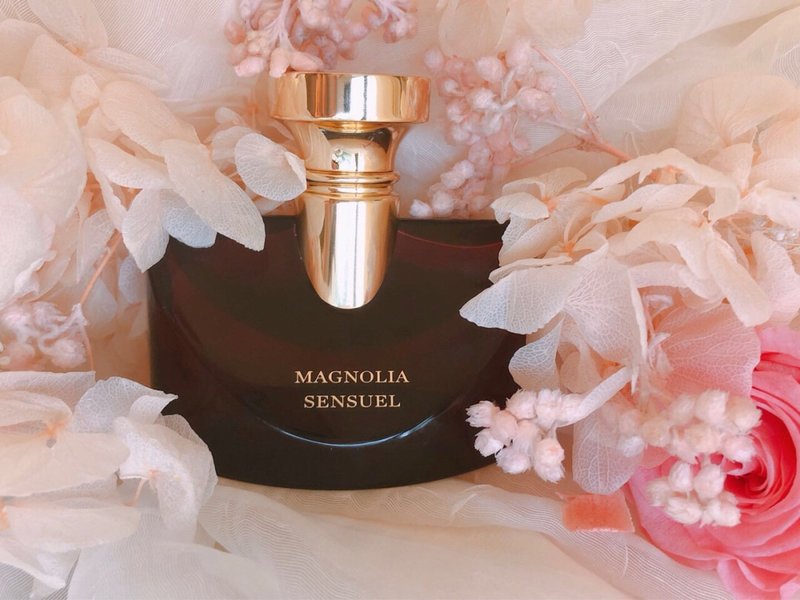 불가리 매그놀리아 로맨티카 오드퍼퓸 100ml 001-273844