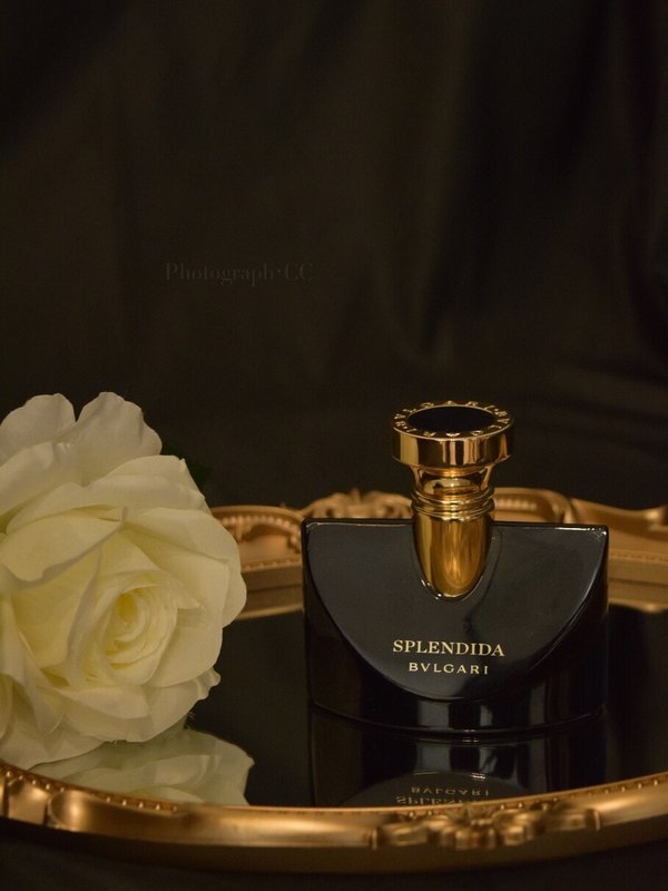 불가리 나이트 자스민 향수 100ml 001-273845