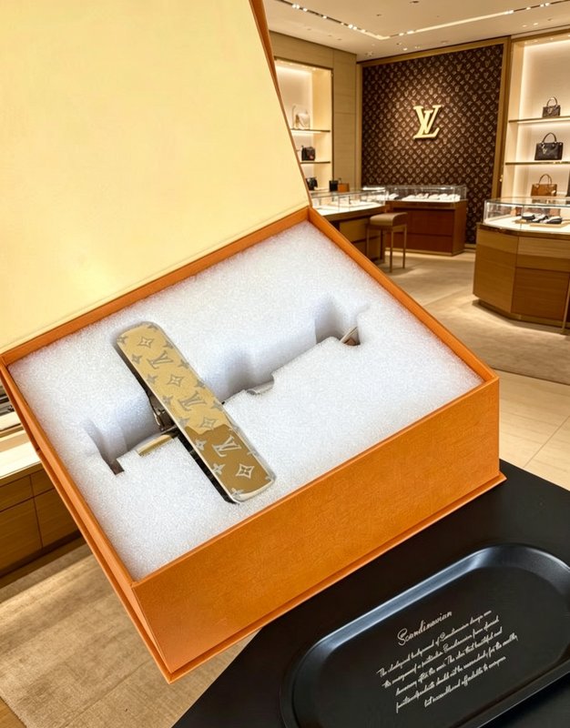 LV 한정 복엽기 장식품 001-277658