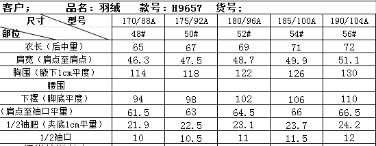 로로피아나 남성 스탠드칼라 다운 재킷 001-283889